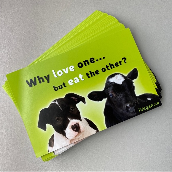 FREE ADD ON - Veg starter kits / recipes, flyers, brochures - Picture 5 of 8